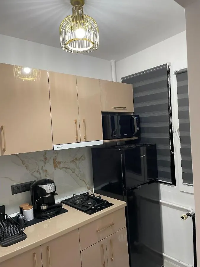 Zen Studio Dristor Sector 3 Bucureşti Apartament