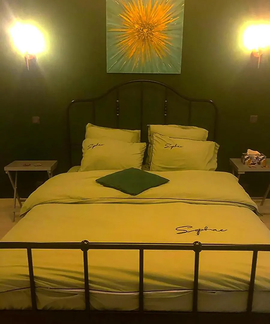 Apartament Zen Studio Dristor Sector 3 Bucureşti România